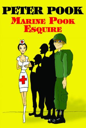 Cover of the book Marine Pook Esquire by Brendan O' Casey