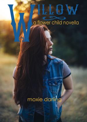 Cover of the book Willow by M. J. Spencer