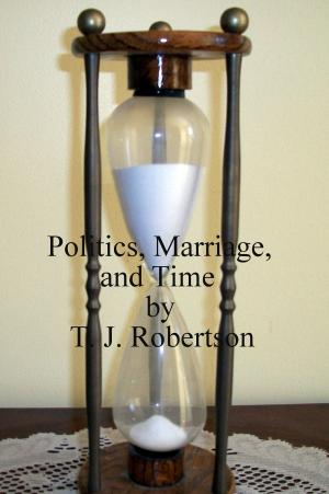 Cover of the book Politics, Marriage, and Time by T. J. Robertson