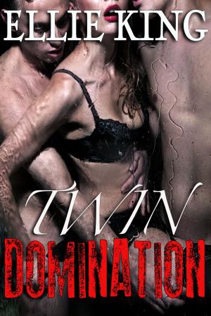 Cover of the book Twin Domination by Linda Winstead Jones, Lori Handeland