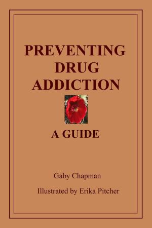 Book cover of Preventing Drug Addiction: A Guide