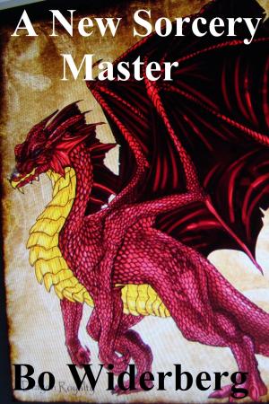 bigCover of the book A New Sorcery Master by 