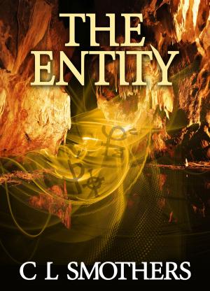 Cover of the book The Entity by Gordon Houghton