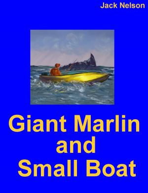 Book cover of Giant Fish and Small Boat