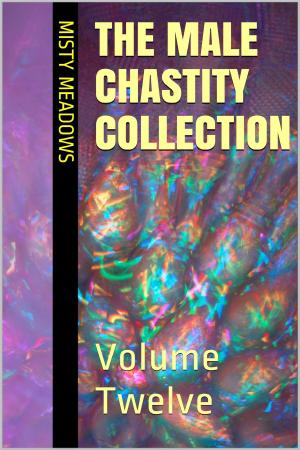 bigCover of the book The Male Chastity Collection: Volume Twelve by 