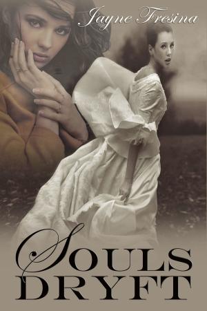 Cover of the book Souls Dryft by Marie Medina