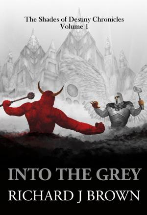 Cover of the book Into The Grey by Edwin C. Mason