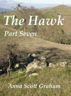 Cover of The Hawk: Part Seven