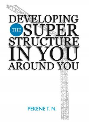 Cover of the book Developing The Superstructure In You Around You by Julianne McKee Huft, M.A., B.S., Psychology