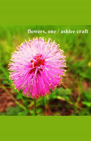 Cover of Flowers, One