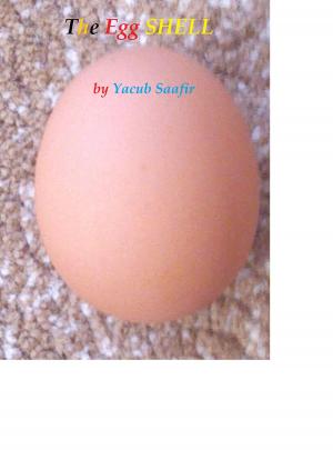 Cover of the book The Egg Shell by Yacub Saafir