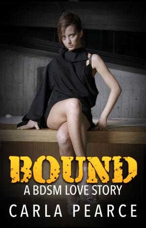 Cover of Bound: A BDSM Love Story