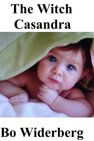 Book cover of The Witch Casandra
