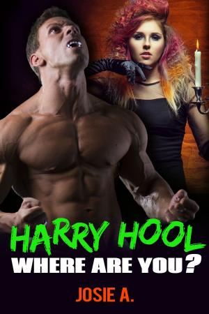 bigCover of the book Harry Hool Where are You? by 