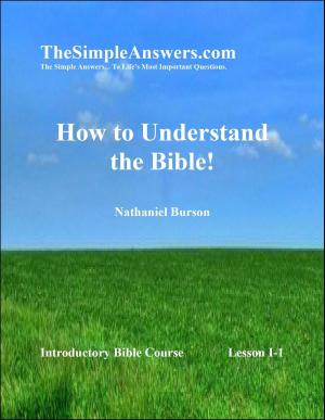 Cover of the book How To Understand The Bible! by Philippe Mac Leod