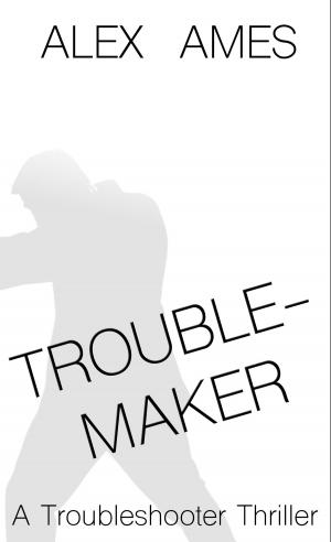 bigCover of the book Troublemaker by 