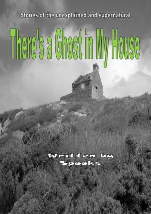 bigCover of the book There's a Ghost in my House by 