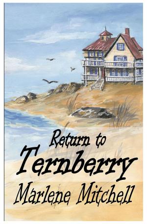 Cover of Return to Ternberry (Next Generation Book 2)