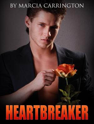 Cover of the book Heartbreaker by Marcia Carrington