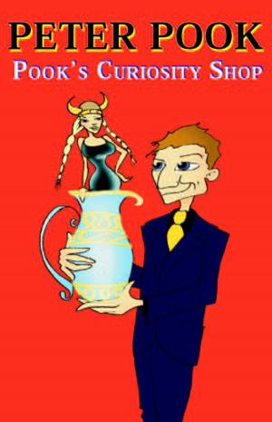 bigCover of the book Pook's Curiosity Shop by 