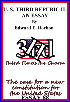 bigCover of the book U. S. Third Republic II: An Essay by 