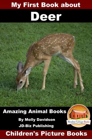 Cover of the book My First Book about Deer: Amazing Animal Books - Children's Picture Books by Molly Davidson