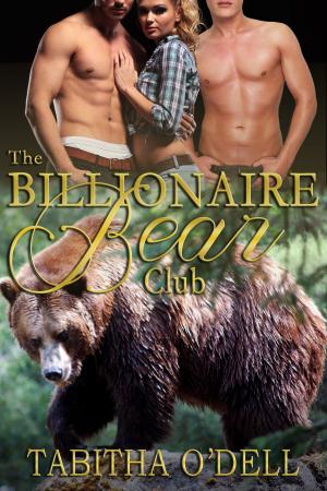 bigCover of the book The Billionaire Bear Club by 