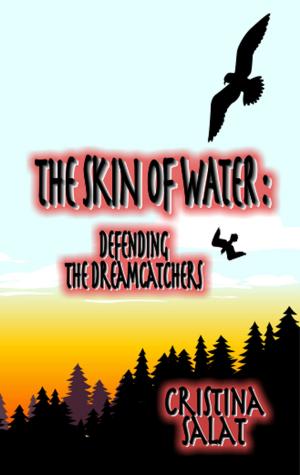Cover of the book The Skin of Water by Laura Florand