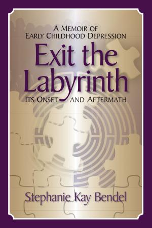 bigCover of the book Exit the Labyrinth: A Memoir of Early Childhood Depression — Its Onset and Aftermath by 