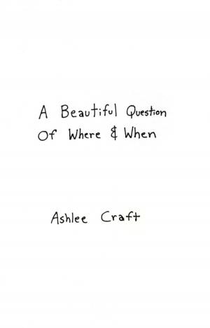 Cover of the book A Beautiful Question of Where & When by Ashlee Craft