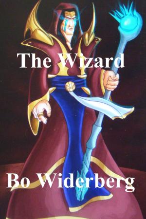 Cover of the book The Wizard by Megan Daymond