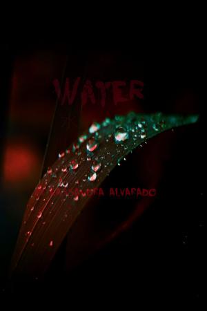 Cover of the book Water by Kassandra Alvarado