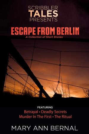 Book cover of Scribbler Tales Presents Escape from Berlin