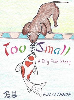 Cover of the book Too Small by Mark Chisnell
