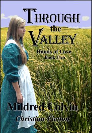 Cover of the book Through the Valley by Kat Martin