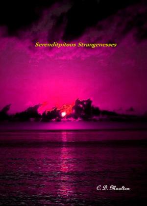 bigCover of the book Serendipitous Strangenesses by 