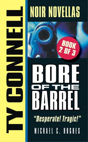 Cover of the book Bore of the Barrel by M.T. Bass