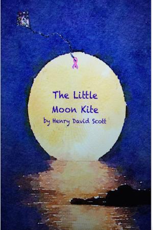 Cover of The Little Moon Kite