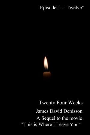 Cover of the book Twenty Four Weeks: Episode 1 - "Twelve" by James David Denisson
