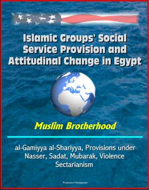 bigCover of the book Islamic Groups' Social Service Provision and Attitudinal Change in Egypt: Muslim Brotherhood, al-Gamiyya al-Shariyya, Provisions under Nasser, Sadat, Mubarak, Violence, Sectarianism by 