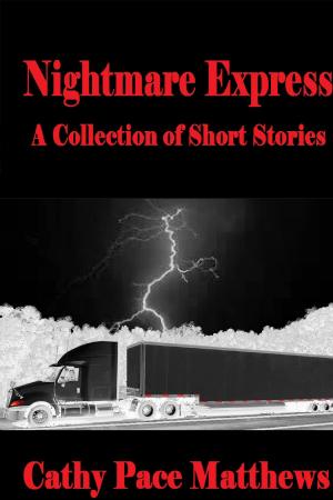 Cover of the book Nightmare Express by Betwixt Magazine