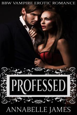 Cover of the book Professed by Selena Storm