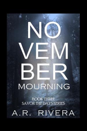 Cover of the book November Mourning by Nicola Vallera