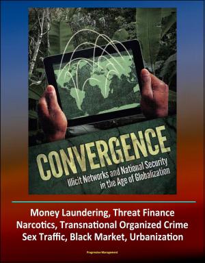bigCover of the book Convergence: Illicit Networks and National Security in the Age of Globalization - Money Laundering, Threat Finance, Narcotics, Transnational Organized Crime, Sex Traffic, Black Market, Urbanization by 
