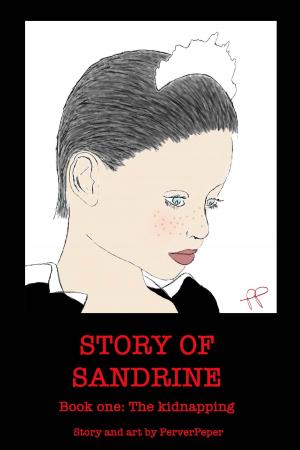 bigCover of the book Story of Sandrine Book 1 by 