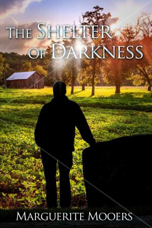 Cover of The Shelter of Darkness