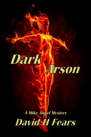 Cover of the book Dark Arson: A Mike Angel Mystery by Gina Danna
