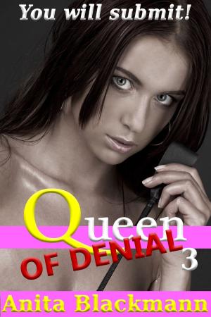 Book cover of Queen of Denial 3