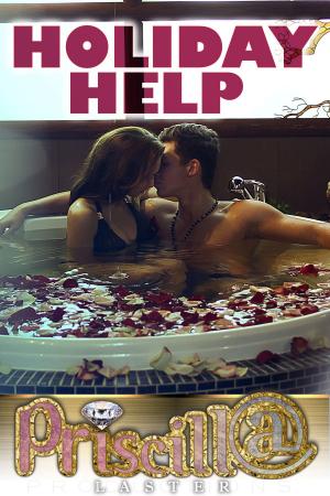 Cover of the book Holiday Help by M. J. Spencer