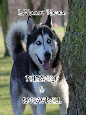 Book cover of Blizzard & Snowball